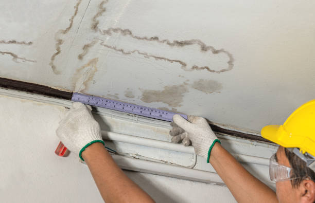 Reliable Mold Remediation contractor in Somers, WI by Water Damage Irwin